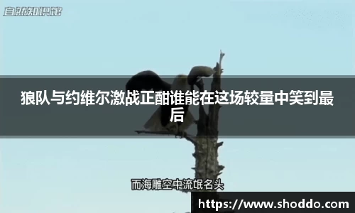 XK星空体育官方app下载