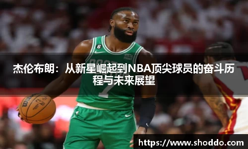 XK星空体育官网