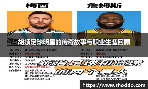 XK星空体育官方app下载