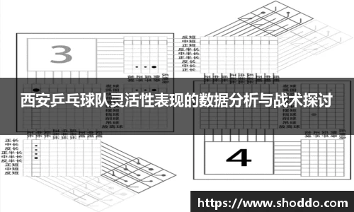 XK星空体育官方app下载