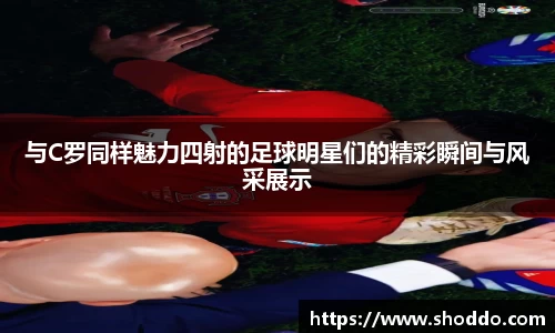 XK星空体育官网