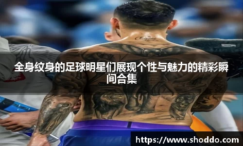 XK星空体育官网