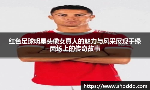 XK星空体育官网